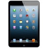 Apple iPad mini 64Gb Wi-Fi черный - 